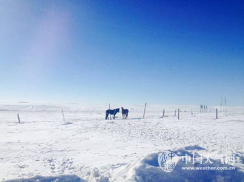 内蒙古受积雪影响人口过百万 新一轮雨雪天气