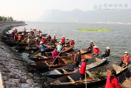 队员们每天的工作是清理滇池中的漂浮物和水葫芦 记者王鹏/摄