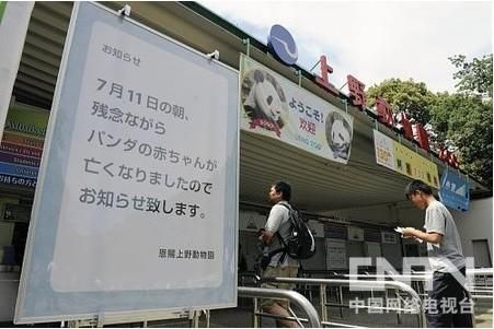 旅日熊猫“真真”幼崽因肺炎夭折仅存活6天