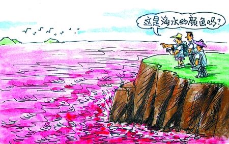 浙江沿海海洋环境恶化 海藻种数10年少四分之一