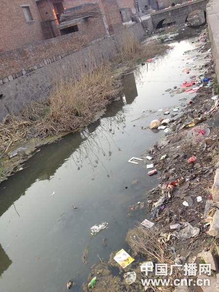 峰峰矿区后连庄村污浊的河水穿村而过，气味刺鼻 ，村民指责是峰煤焦化排污所致