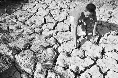 南方高温创1951年以来之最