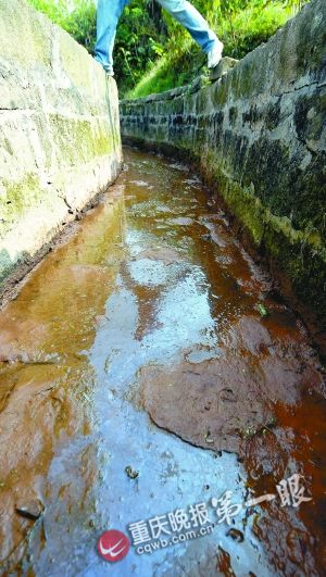 重庆渝北约5千人因水源污染饮水困难(组图)