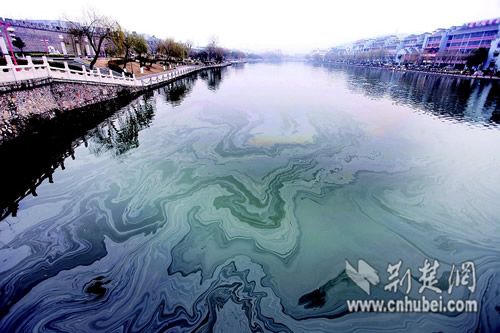 西护城河靠近城墙一侧油污带最为严重。卢亚明 摄