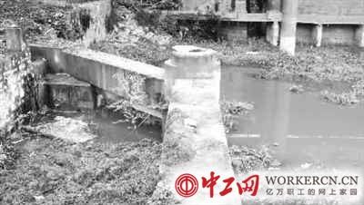 涂山湖部分区域又现污染。李国 周松 摄
