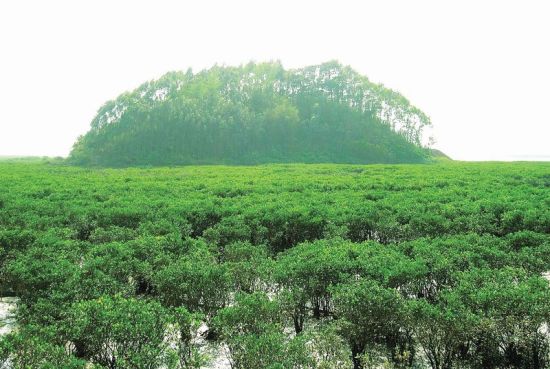 国家首批开发利用无居民海岛之独山背岛。独山背岛位于广西钦州市，主要开发用途为城乡建设。该岛环境优美，白鹭盘旋其间。