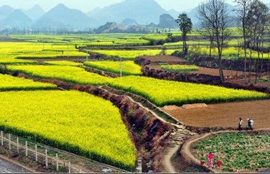 生态农业可能成为改善中国食品安全新途径(图