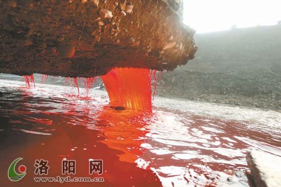 华山路涧河桥下的这条雨水渠近乎“血染”。 