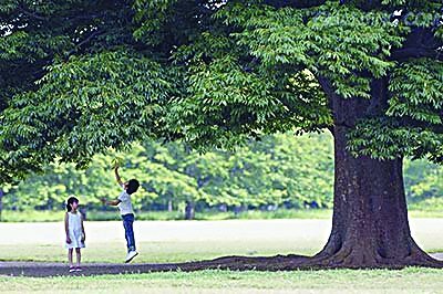 专家提示应从25岁开始抗衰老 保养5脏可长寿