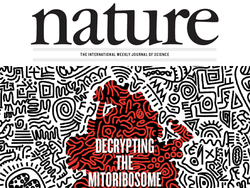 英《自然》杂志撤回日本科研人员造假论文|《
