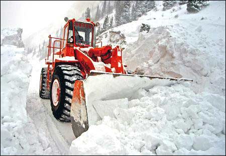 伊犁河谷最高气温五天零上 极可能爆发融雪洪