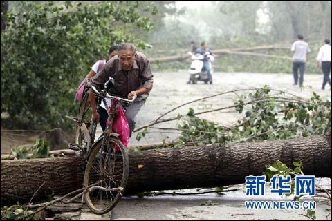 河南洛阳市遭灾害天气袭击 树倒屋塌通讯中断