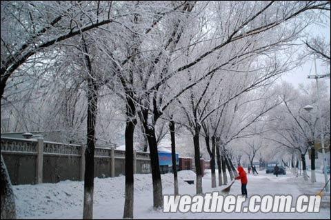 黑龙江今日降雪减弱 大庆雪后现雾淞美景_天气预报