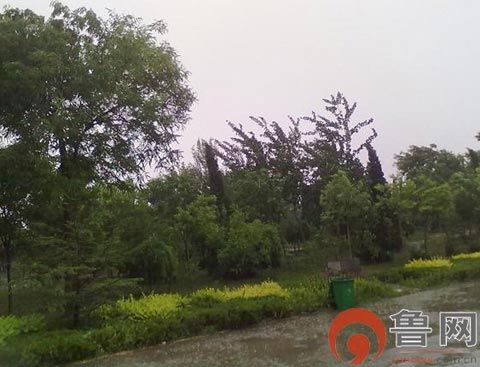 济南商河县突遇冰雹袭击|天气|天气预报_新浪天气