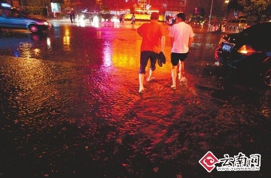 昆明昨晚喜降今年最大雨|天气|天气预报|云南天