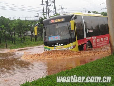 台风致海口普降暴雨城市内涝|海口|暴雨_新浪天气预报