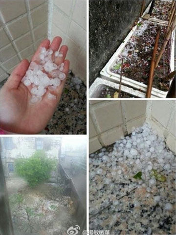 ʯСıϮ㶫ֵأͼƬԴ΢