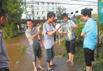 5磬ڼ񱻱Ϲ·㡣