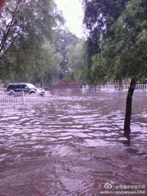 发布暴雨蓝色预警 今天有大到暴雨 |暴雨|气象台