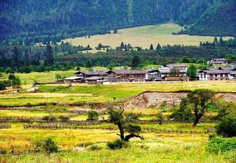 雪峰与红叶争辉 寻找林芝最美的秋天_新浪天气预报