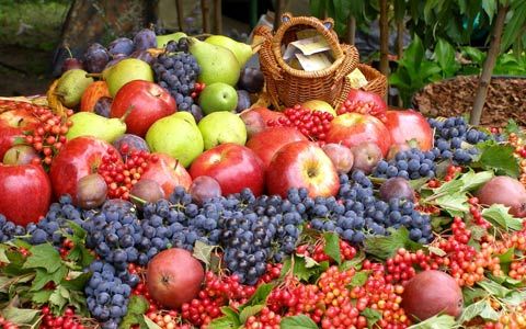 秋季9种水果美容养颜润肺去燥|水果|葡萄|美容