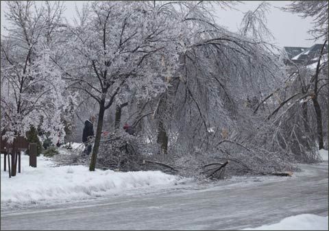 加拿大多伦多等地遭遇十年来最大冰暴_新浪天