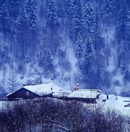 北方干冷南方有雪 云贵局地有冻雨|局地|黑龙江