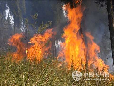 重庆主城40℃已达3天 为历史同期第二多|重庆