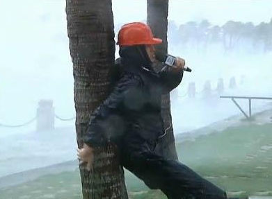记者绑树上报道台风海鸥登陆广东 称已无法说