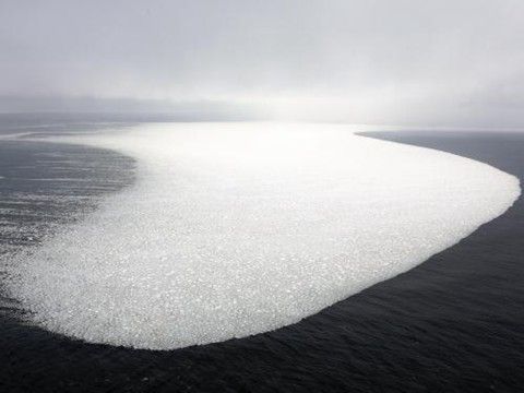 ο˺µִﱱ