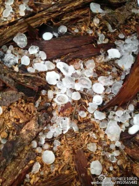 冰雹 专家称是强对流|冰雹|海南|强对流_新浪天气预报