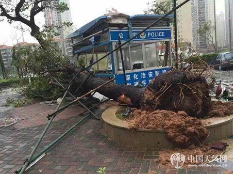 台风彩虹登陆湛江致16渔民失踪1人死亡_新浪