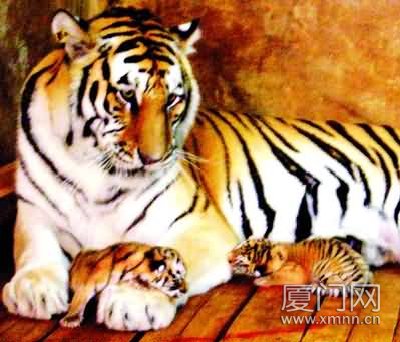 虎妈费了13个小时生下四胞胎