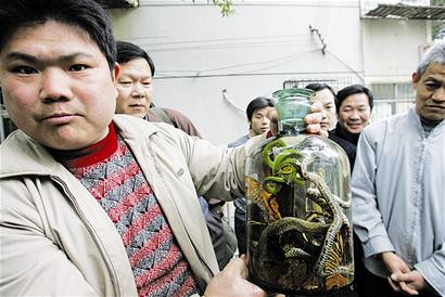 图文:男子身背毒蛇 当街泡酒叫卖