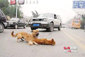 完全沧桑聚变也是一瞬间