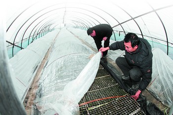 点击在新窗口打开 湖南遭遇50年一遇冰冻