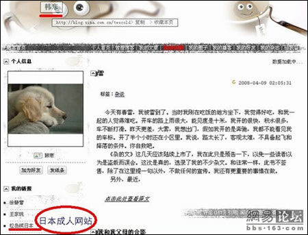韩寒博客链接日本av女优博客 遭网友狂批(图)