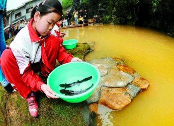 两百娃娃鱼游进黄龙洞