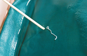 儿时吃青蛙 长大脑生虫