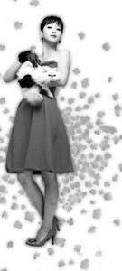 ӫ��ӭ�����ˡ���������