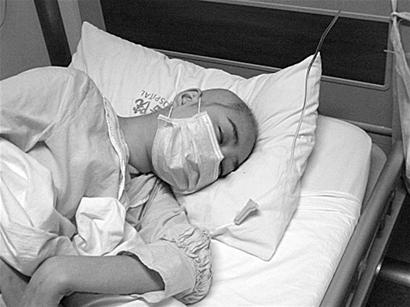 图文:生命的执着深深感动我