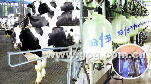 贵州乳业三巨头表态:贵州本土奶市民放心喝