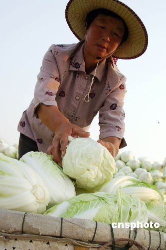 秋冬季 怕冷的人应该吃什么?