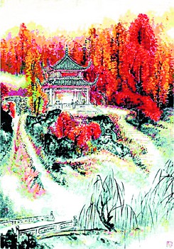 ������ͤ��Ϊ�����һ������