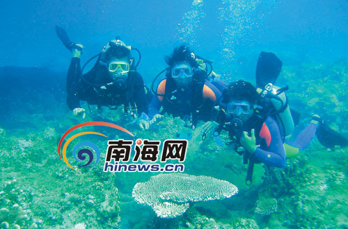 国际三星级潜水教练:海南有全世界最美的海