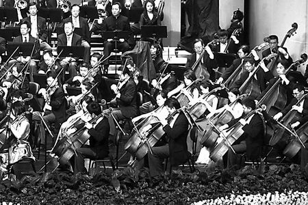 中国2009新年音乐会今晚隆重举行中央电视台