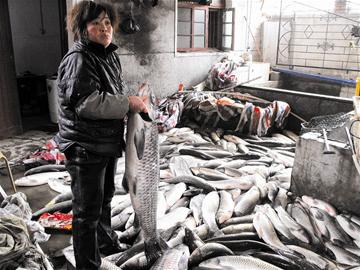 > 正文      祁家湾街道办事处的一名负责人称,当地的自来水经过市区