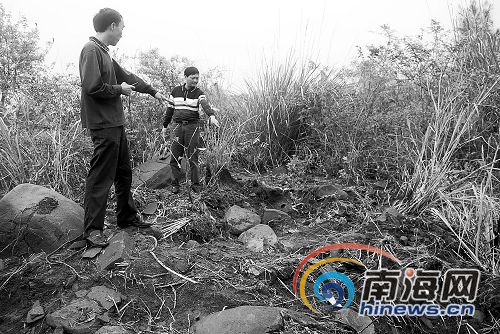 澄迈神石能奏8音 被搬后成哑石(组图)