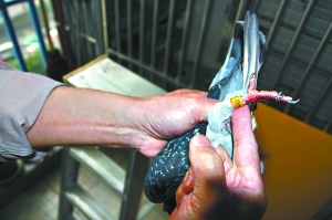 �޷����롱������