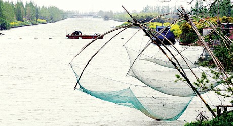 鸽龙港河宽,水深,鱼多,岸边张网捕鱼多有收获纪海鹰;种楠